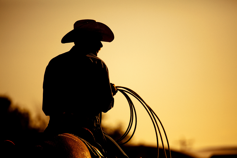 The Wild West of AI: Why CFOs Must Rein in Unsupervised Thinking